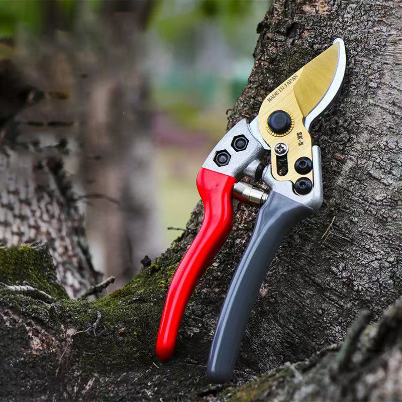 Gërshërë Kopshti Profesionale