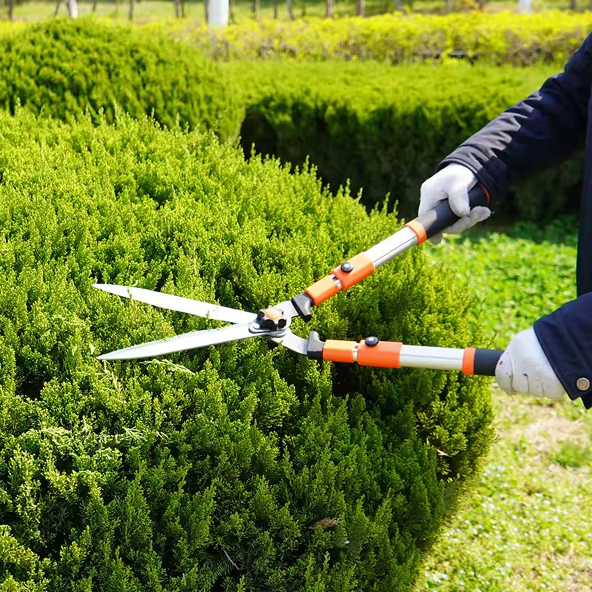 Gërshërë për Gardh me Doreza Teleskopike