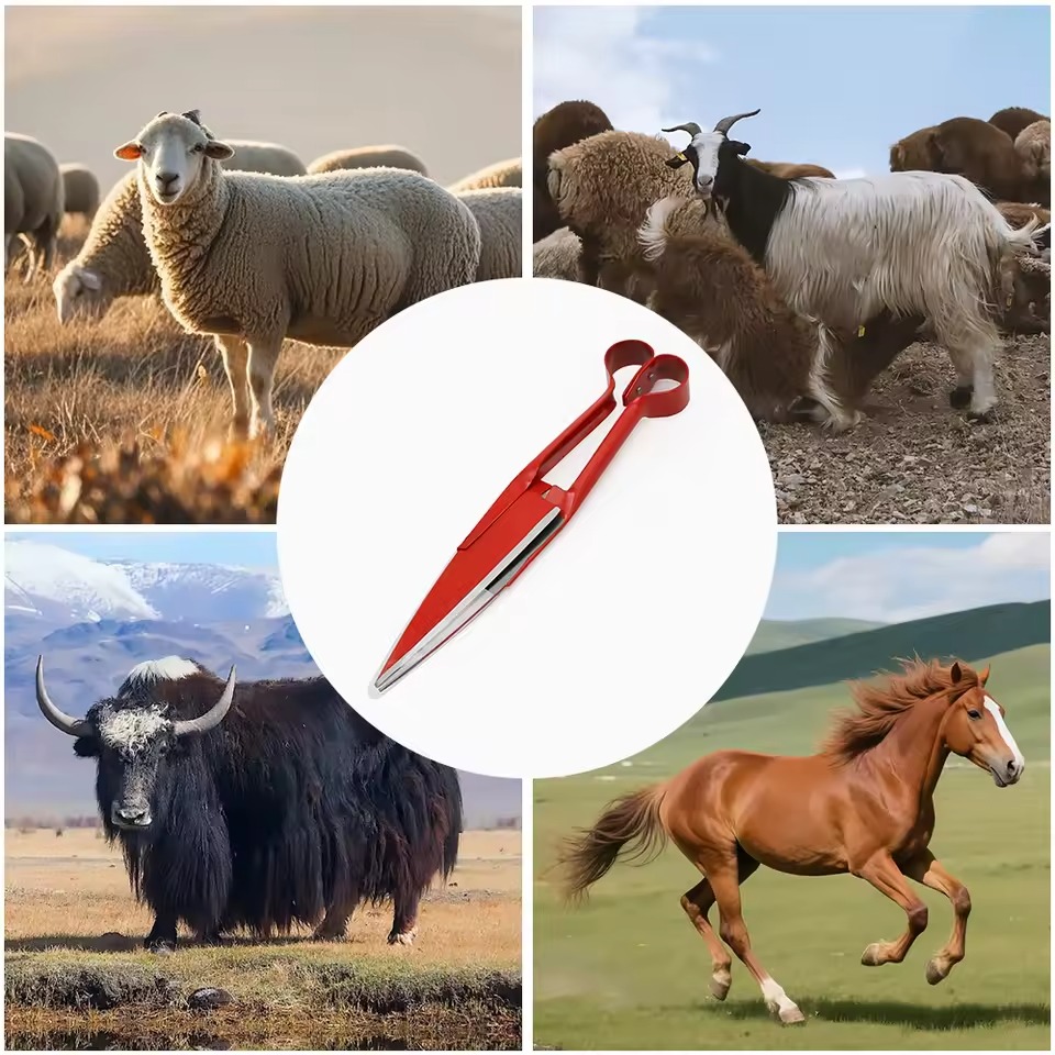 Gërshërë për qethjen e deleve